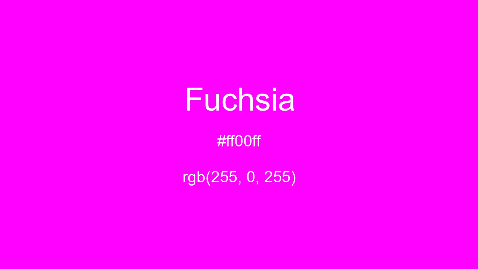 preview image of css Fuchsia color