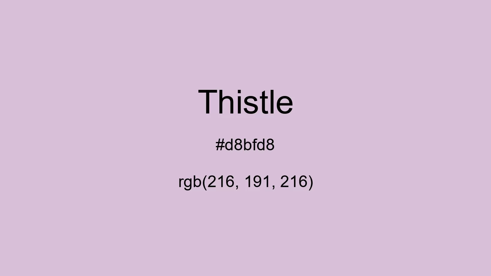 preview image of css Thistle color
