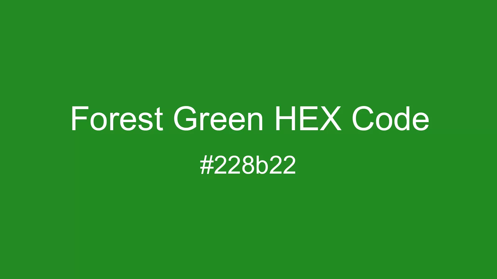 preview image of Forest Green color and HEX code