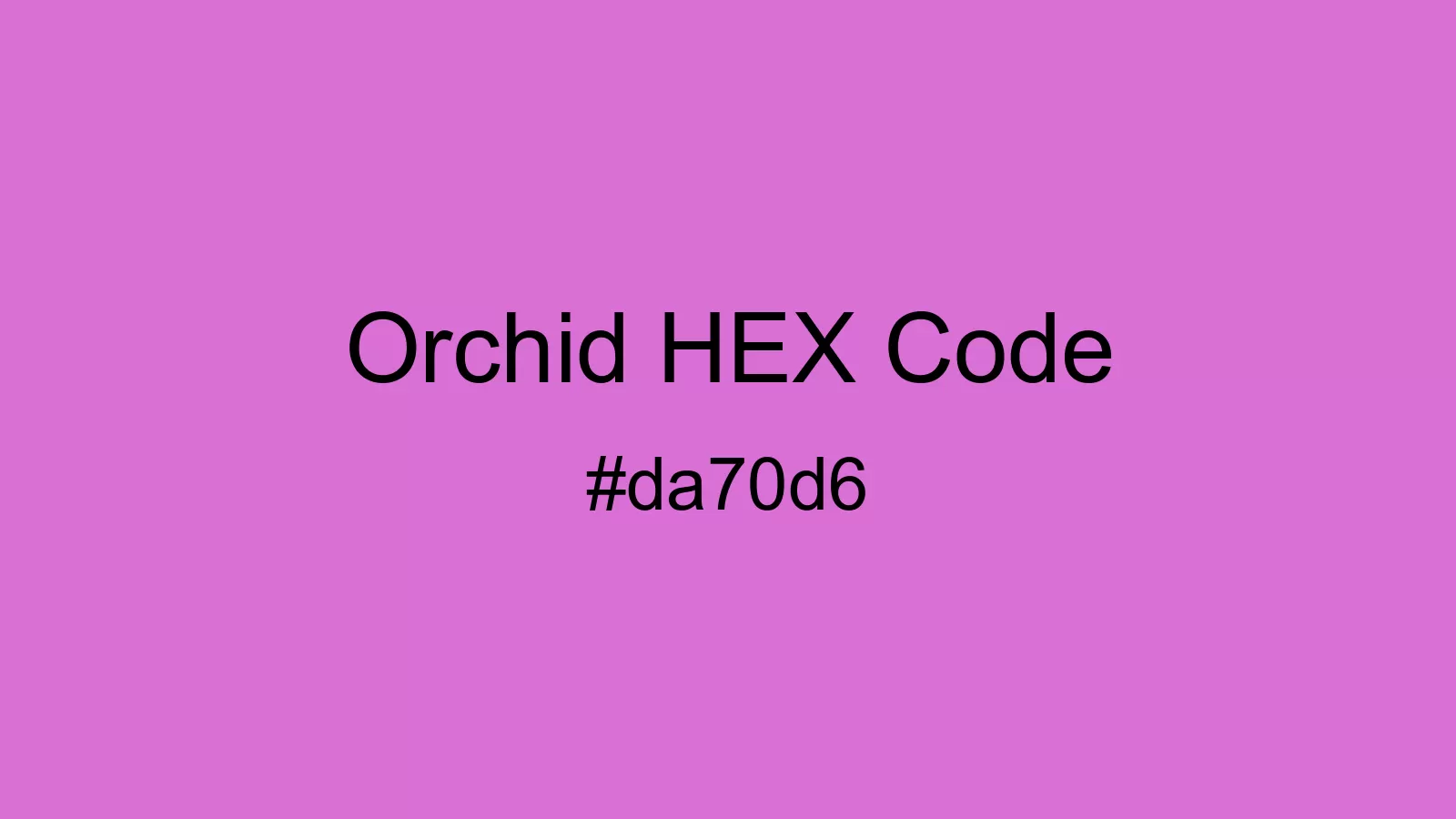 preview image of Orchid color and HEX code