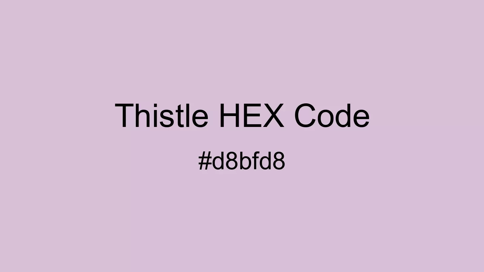 preview image of Thistle color and HEX code