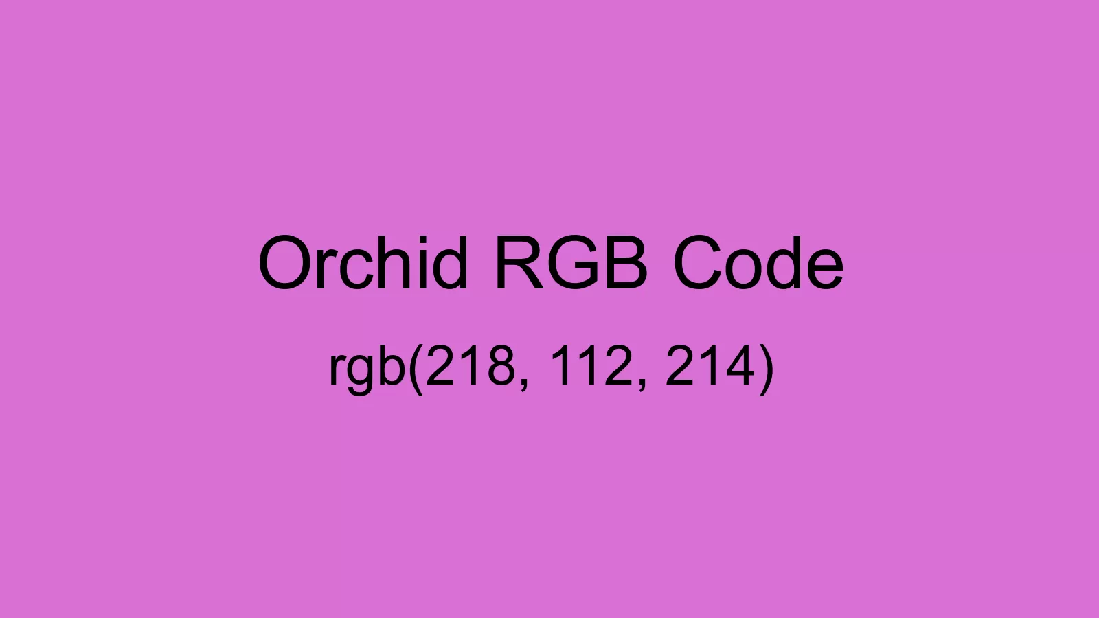 preview image of Orchid color and RGB code